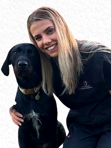 Lauren Veterinary Nurse — Illawarra Animal Hospital, NSW